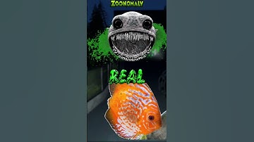 Zoonomaly X Real Animals   #garrysmod  #gmod #zoonomaly