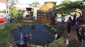 Wonderful Start New Project!! Filling Flooded Garbage Pond Use Dozer D20p Pushing Soil & 5ton Truck.