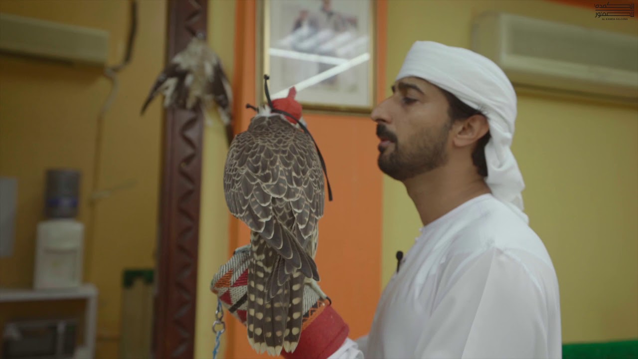 كيف تختار أول صقر الجزء الأول