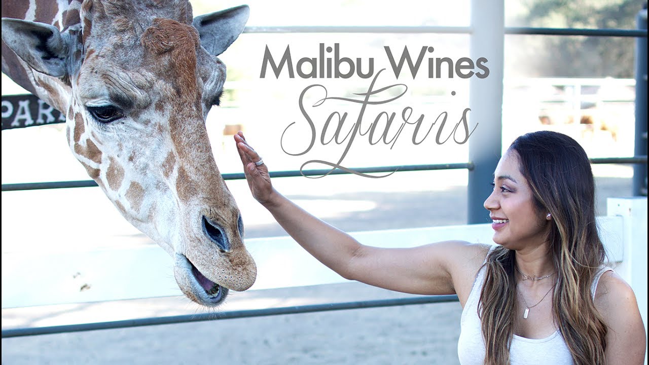 malibu wine safari