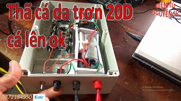 Xiệt cá lạnh thã cáp 20D chuyên cá da trơn | Điện Tử Nguyễn Sự | Catch fish