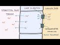 How does furosemide work understanding loop diuretics