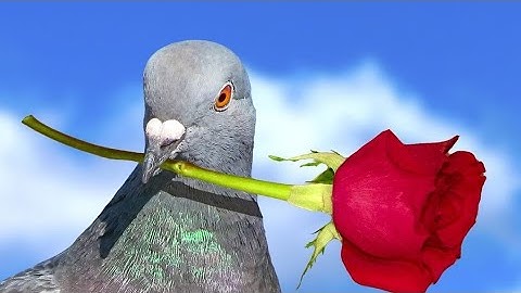 سورة الأنعام كاملة.|| #السديس #قرآن_كريم