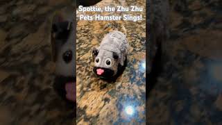 Zhu Zhu Pets: Spottie Sings A Song! 🎤🎶 #zhuzhupets #shorts #zhuzhucity
