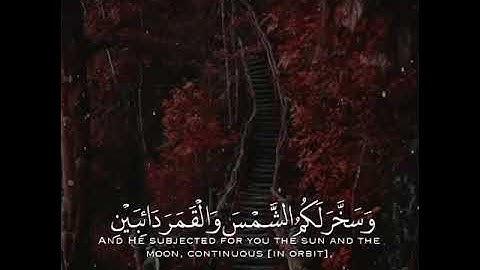 وَسَخَّرَ لَكُمُ الشَّمْسَ وَالْقَمَرَ دَائِبَيْنِ | القارئ خالد الجليل ( سورة إبراهيم)