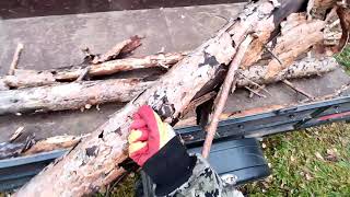 видео: валежник готовим на дрова... 2023 г. #штиль  #лес #дрова картинка: валежник готовим на дрова... 2023 г. #штиль  #лес #дрова