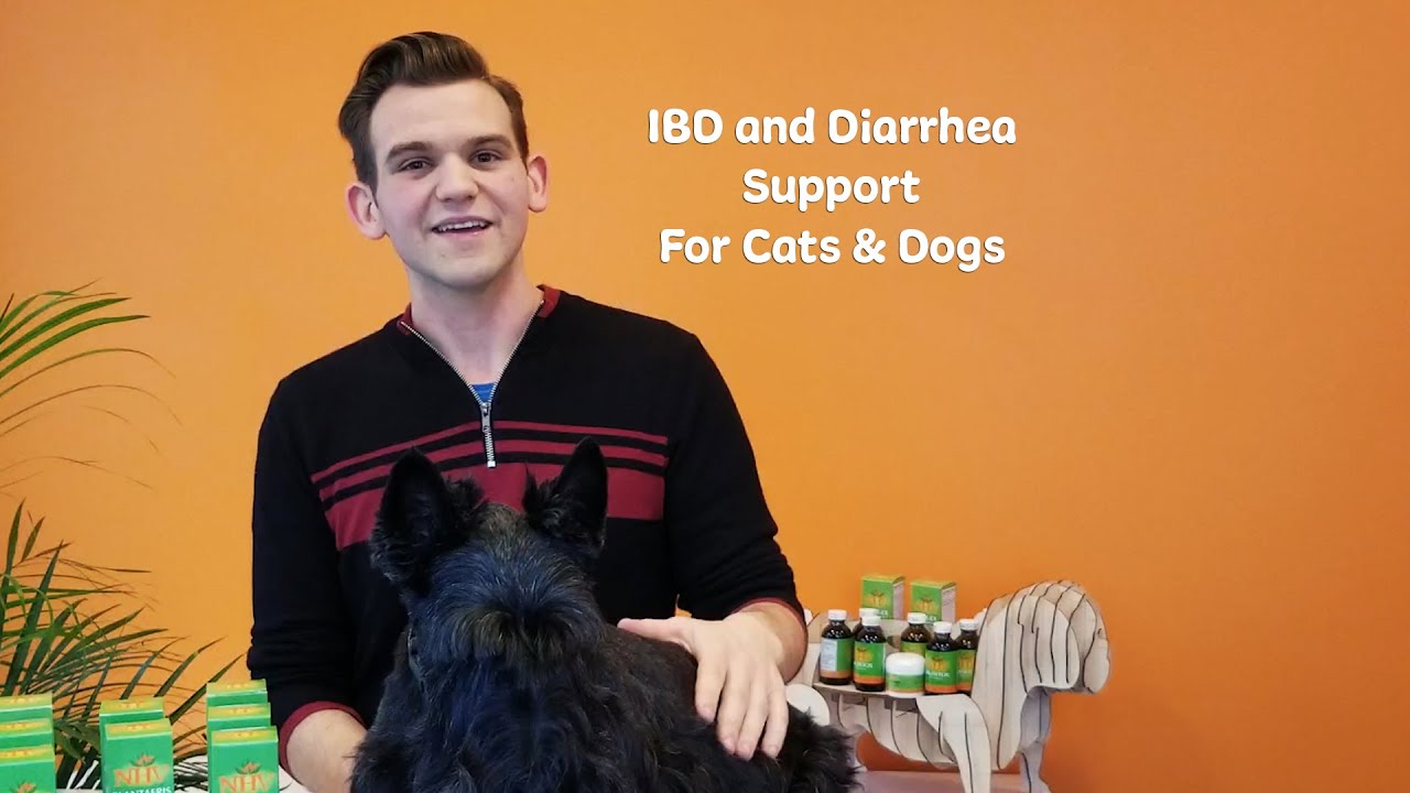 NHV Plantaeris IBD and Diarrhea Support for Cats & Dogs YouTube