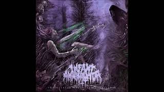 Infant Annihilator - Pelt Of Innocent Flesh (audio HD)