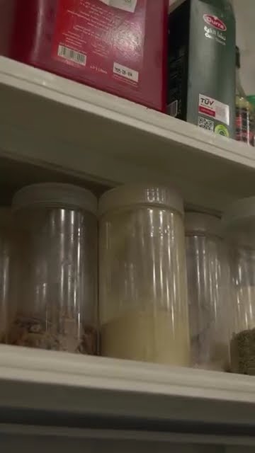 Beta Bite Short 03
