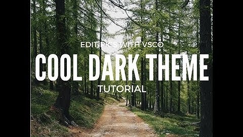 VSCO Tutorial: Dark,Cool, and Bold Edit