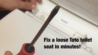 Dad Fixes Loose Toto Toilet Seat