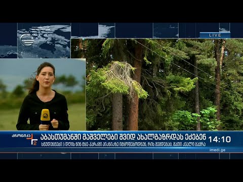 აბასთუმანში მაშველები შვიდ ახალგაზრდას ეძებენ