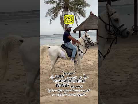 خيل وخيالة موسيقى البواسل