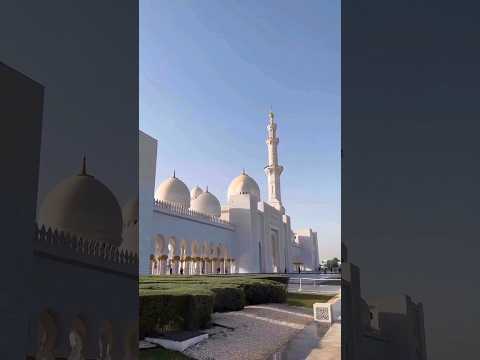 Sheikh Zayed Grand Mosque 🇦🇪 #shorts #trending #travel #uaelife #dubai #shivyanka #couplegoals