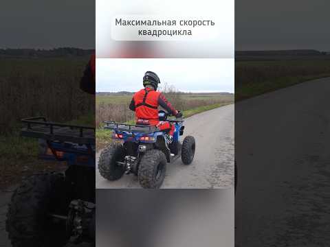 Видео: Сколько максимально пойдет новый квадроцикл Activator 250 за 279 т.р?