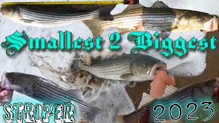 Catch Striped Bass In Maine 5 Sizes Shown