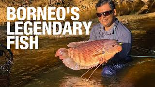 The Epic Quest for the Legendary Red Kaloi | Fly Fishing Indonesia The Epic Quest for the Legendary Red Kaloi | Fly Fishing Indonesia