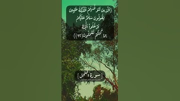 سورة النحل الآية ٣١ الى ٣٣ بصوت الشيخ #ماهر_المعيقلي #القرآن