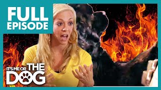 Wild Dogs turn on Gas and Burn House Down? | Full Episode USA
