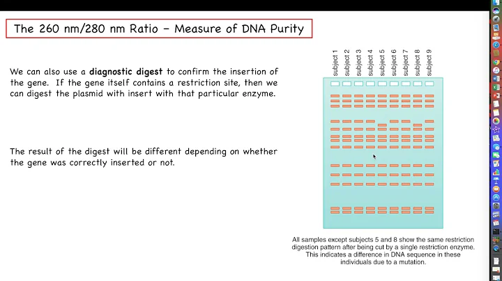 Intro to Biotechnology - Chapter 8 - Part 2 - Transformation of Cells