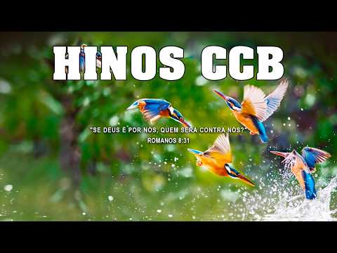 Hinos CCB Cantados coletânea de Belos hinos CCB Vol.06 #ccb