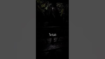 القران الكريم #اكسبلور #المصحف #راحة #راحة_نفسية #قران_كريم #vairal #لايك