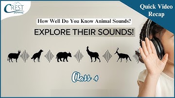 Class 4 | Animals and Animals Sound | English Olympiad | CREST Olympiads
