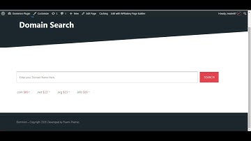 Dominion Domain Checker Tutorial Without WPBakery