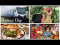 Japan Vlog | Travel Aomori, Pick Apple, Lunch at A Factory, Nebuta Museum Wa Rasse