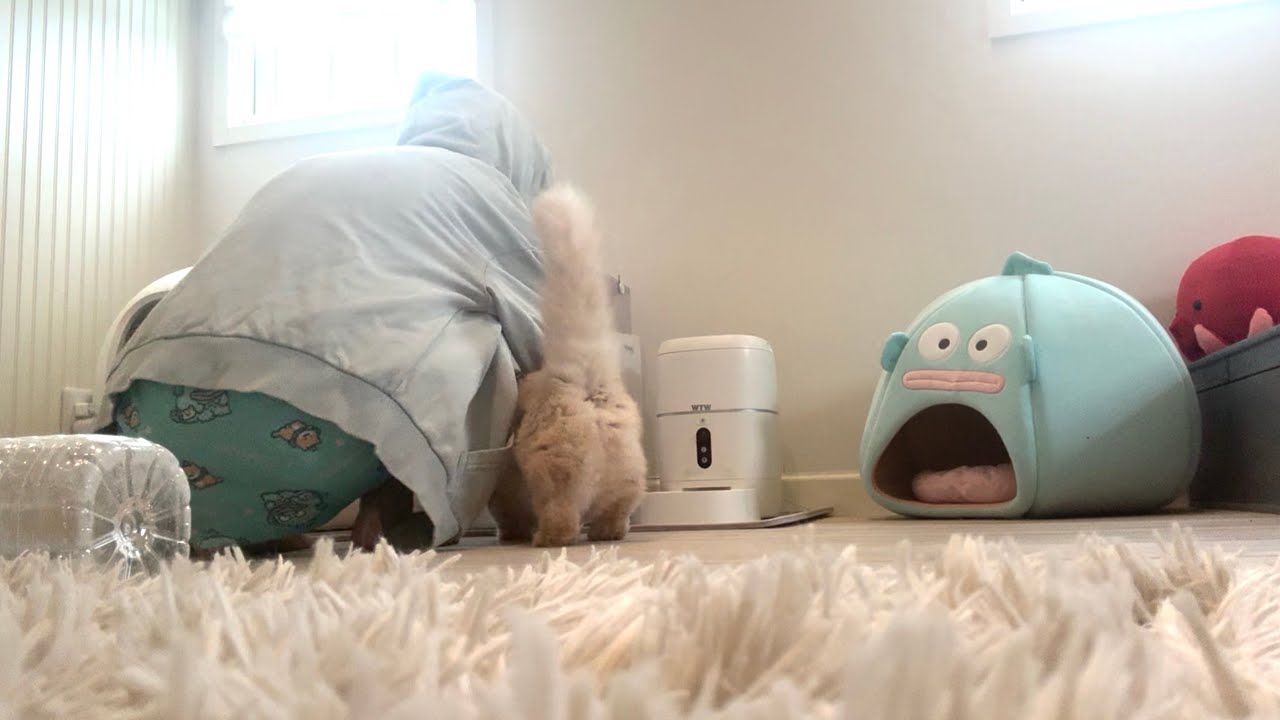 YouTubeも人生も辞めようと思った。