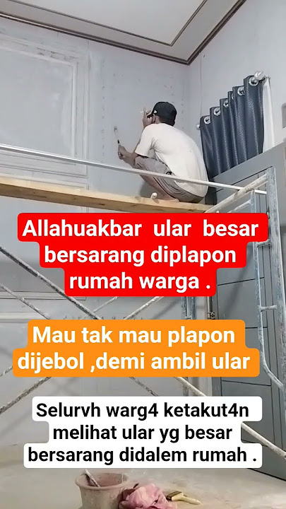 ul4r bers4rang diplapon rum4h ❗