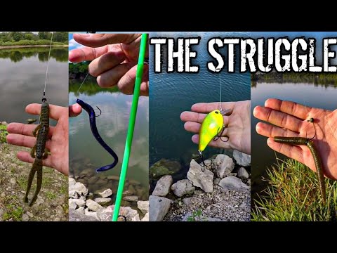 Download Late Summer Bass Fishing (Are YOU Struggling to Find a Pattern Too?)