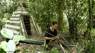 60 Days Solo Bushcraft - Build bamboo tents, eat rats