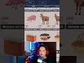 Esse Jogo É O Melhor Simulador de Fazendeiro! Ranch Simulator