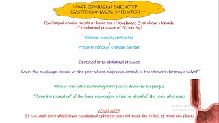Gastro-Esophageal sphincter. Chapter 64 (part 5). Guyton and Hall Physiology.