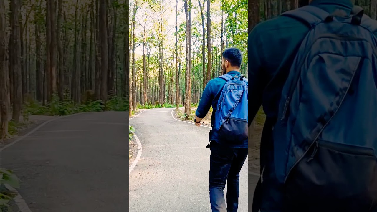 Kedarnath road trek in 2022 😍 kedarnath darshan 🙏 status 