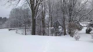 Asheville Snow