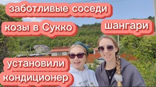 СОСЕДИ | КОЗЫ В СУККО | ШАНГАРИ