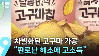 차별화된 가공으로 돌파구…“고구마 판로난 해소에 고소득” / KBS  2025.07.13.