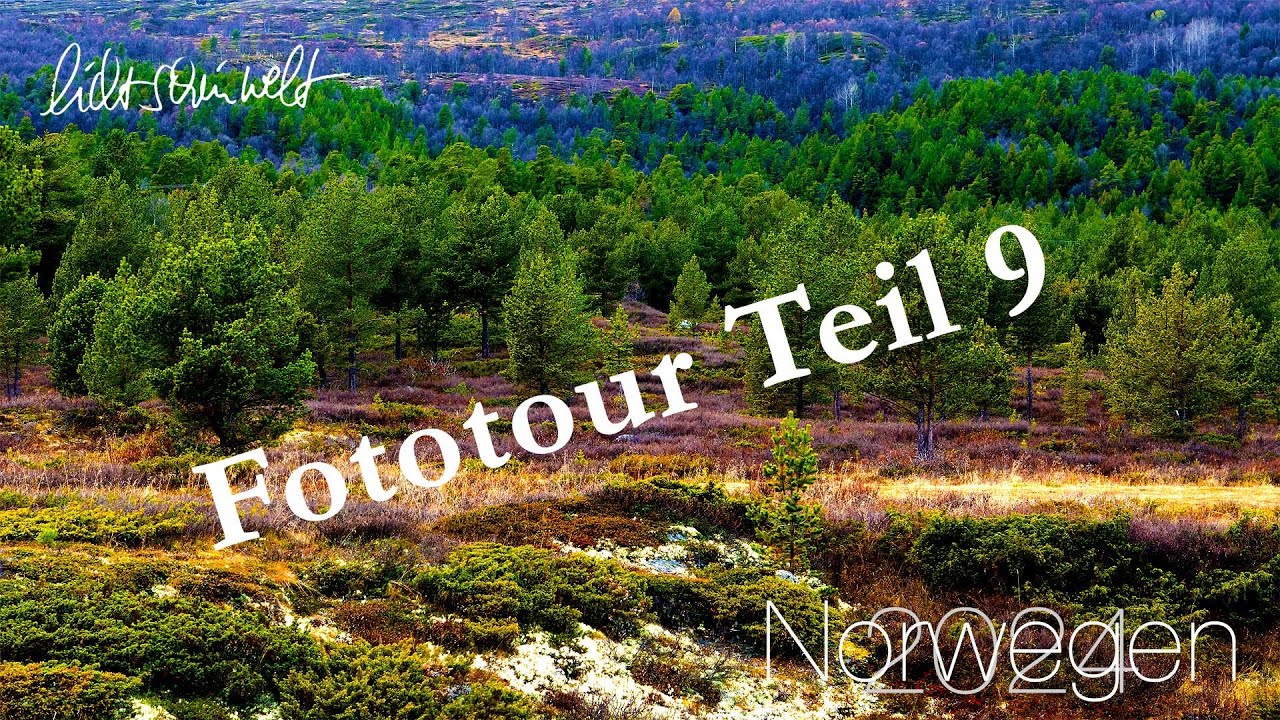 Norwegen 2024 #9 - Romsdalen - Dombås - Otta - Lom - Valdresflye - Nesbyen - lichtscheinwelt