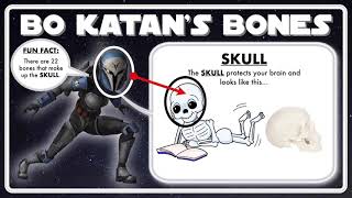 Phys.Ed.Review (Bo-Katan’s Bones - Skull)