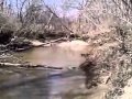 Aaron In The Creek Aaron In The Creek