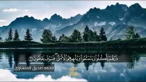 ربما يود الذين كفروا لو كانوا مسلمين..... القارئ محمد صديق ا