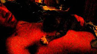 Motherhood - Breast Feeding Your Kitten, Who Says Guys Can't? Motherhood - Breast Feeding Your Kitten, Who Says Guys Can't?