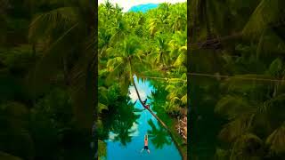 Kerela Coconut,Two Boys Are Having Fun Fighting In Feet,द लडक पव म लडन क मज ल रह ह