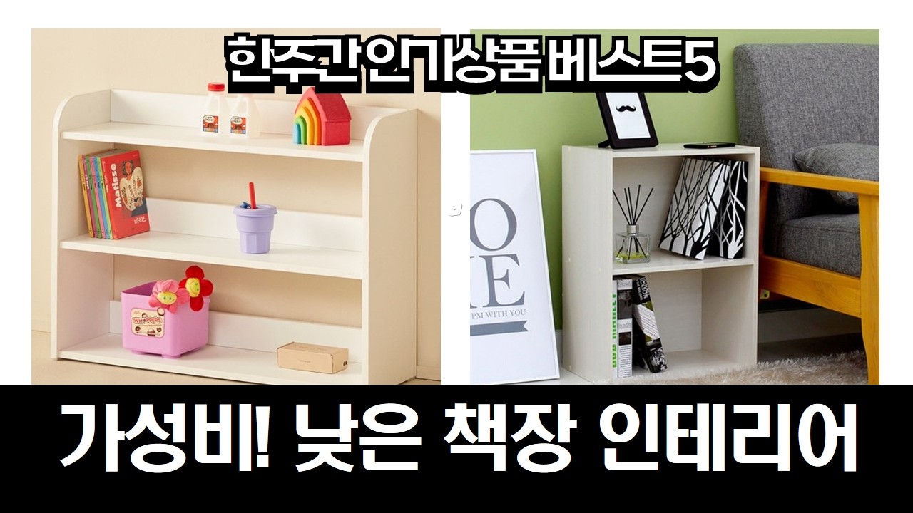 낮은 책장으로 완성하는 거실/서재 인테리어! 가성비수납력 갑 책장 추천