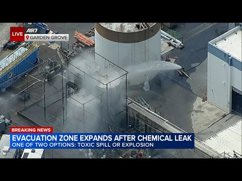 Analyzing The JustNashy Leak: What Went Wrong?