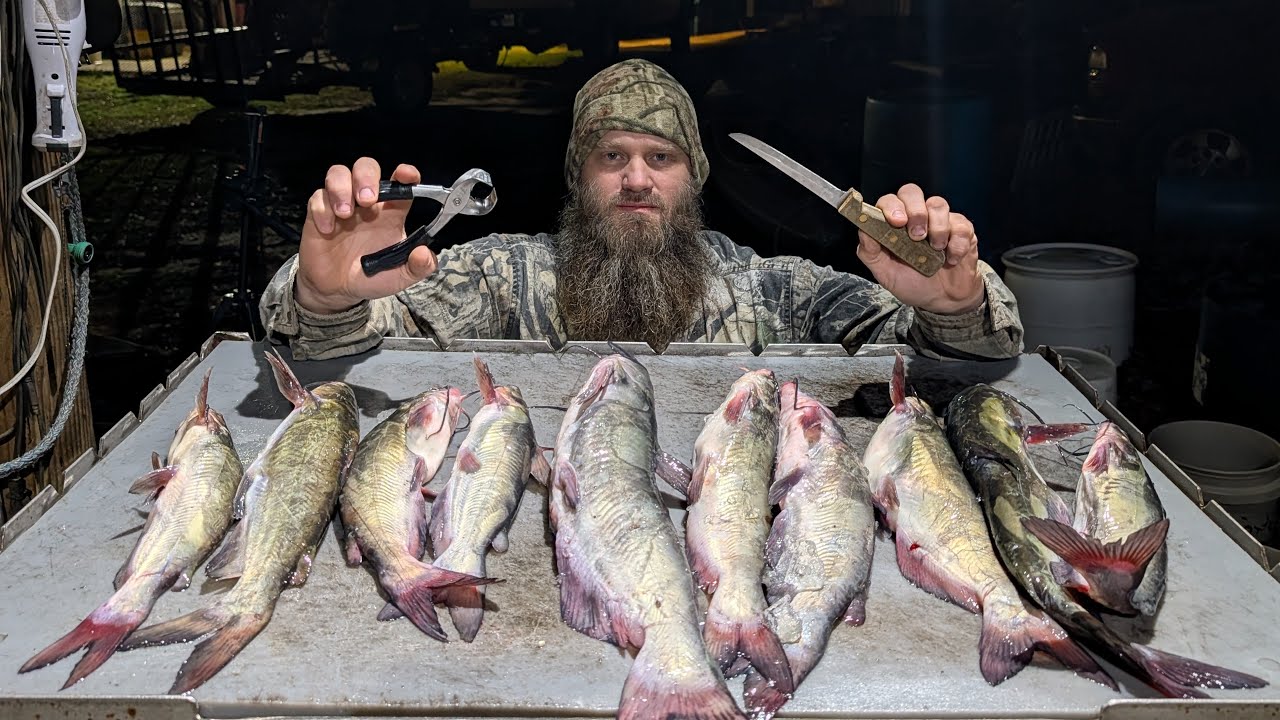 Cleaning Catfish Live!! Talking Hoopnets, Hunting Season, Hog Trapping ...