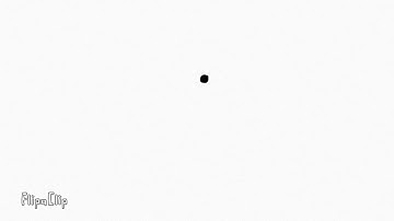 Random Videos From My Camera Roll