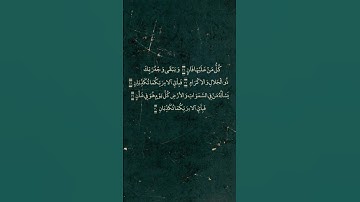 { كل من عليها فان } | سورة الرحمن | ياسر الدوسري